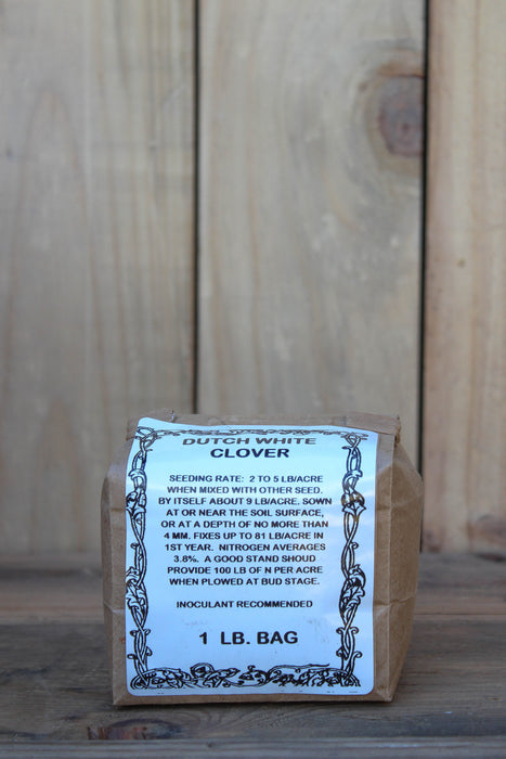 Clover - Dutch White NON OG Cover Crop Seed- 1 lb Bag