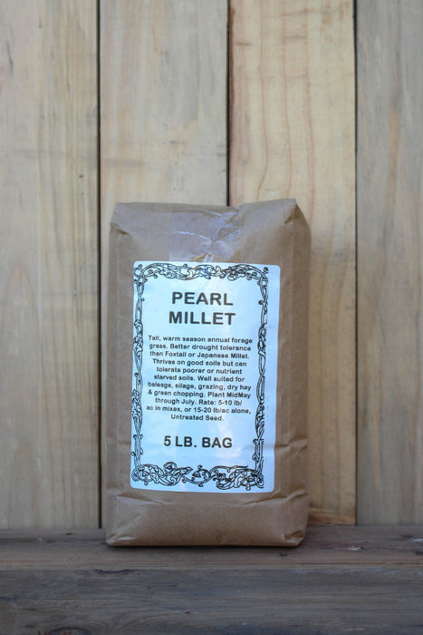 Pearl Millet NON OG Cover Crop Seed - 5 lb Bag