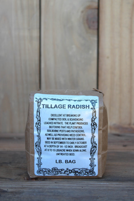 Radish - Daikon Non OG Cover Crop Seed - 1 lb Bag