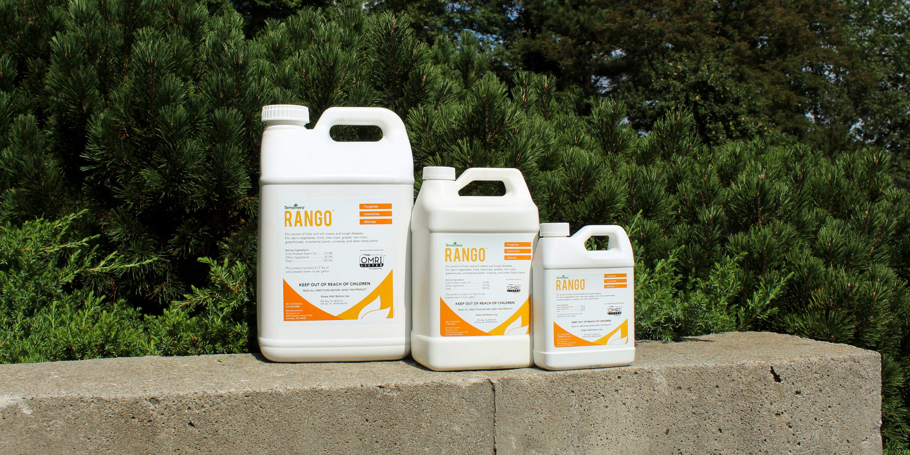 All about Neem Oil - Seven Springs Farm Supply