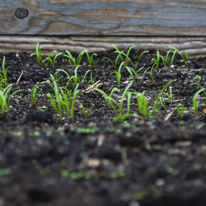 Compost - You Know That's Right - Seven Springs Farm Supply