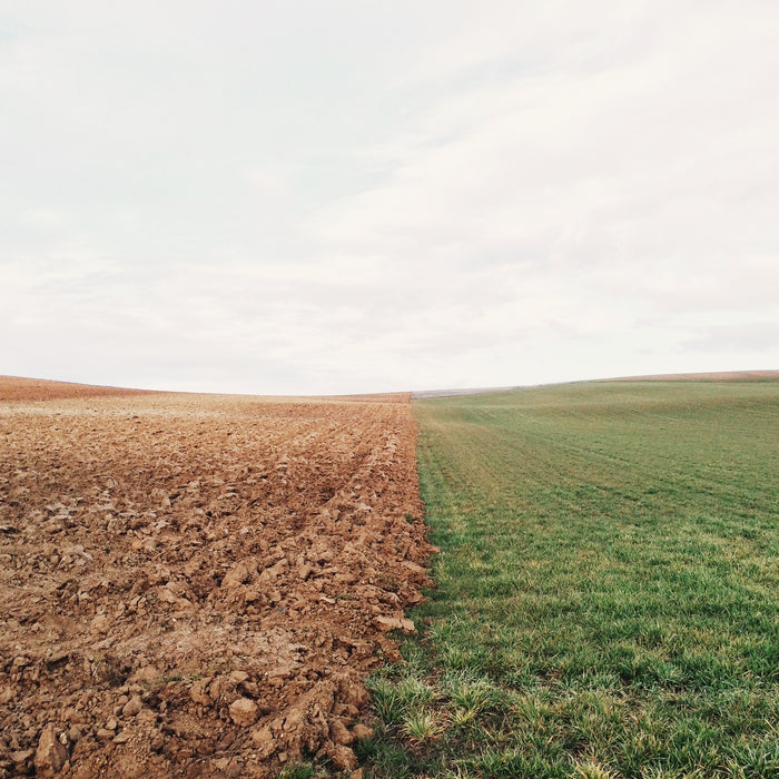 Soil Testing - Now's the time!