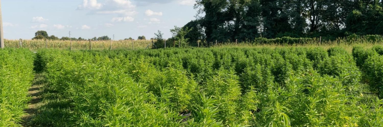 Hemp Cultivation Program - Seven Springs Farm Supply