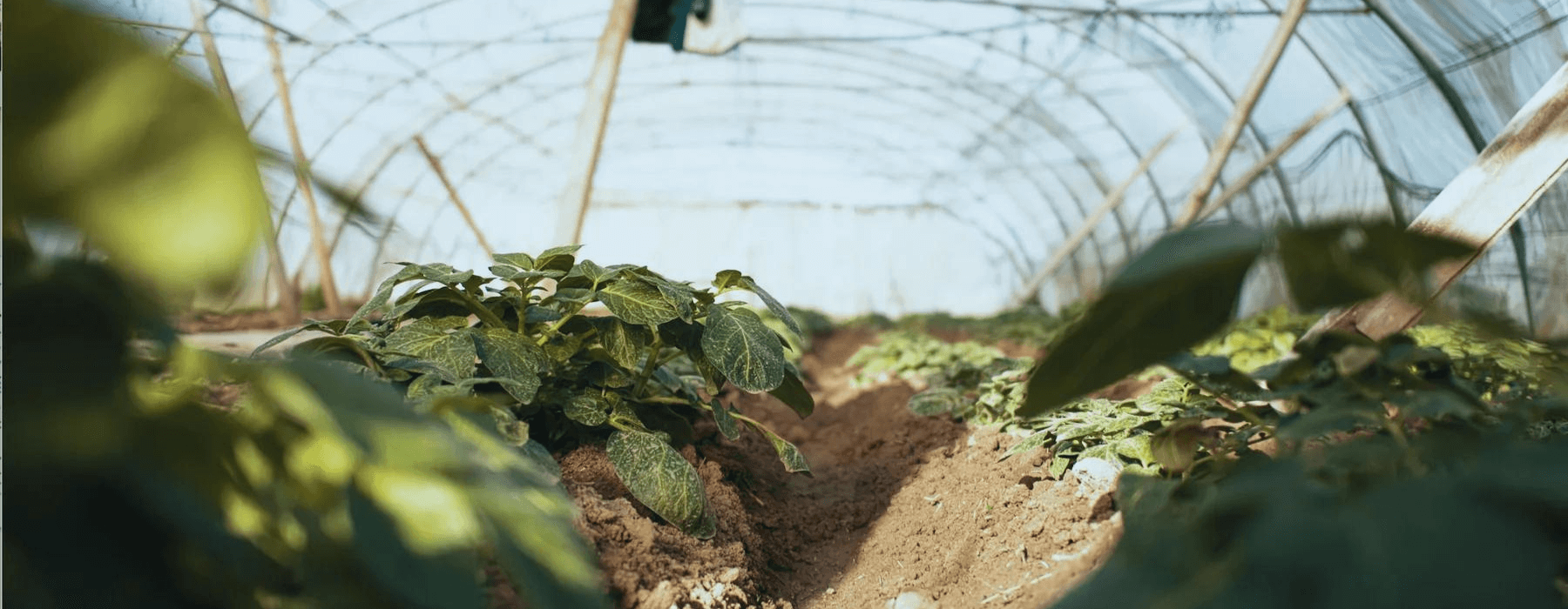 How much fertilizer do I need? - Seven Springs Farm Supply