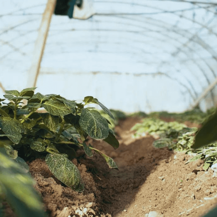 How much fertilizer do I need? - Seven Springs Farm Supply