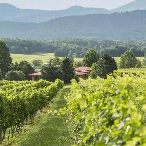 Organics in Eastern Viticulture - Seven Springs Farm Supply