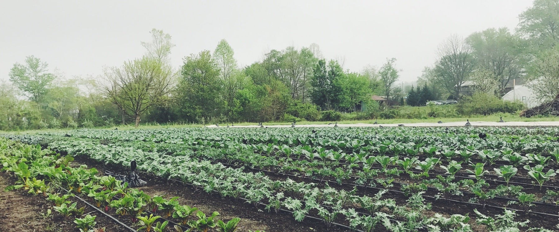 Secondary Nutrients - Seven Springs Farm Supply