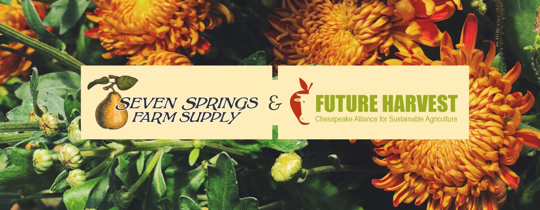 Teaming Up - Future Harvest - Seven Springs Farm Supply