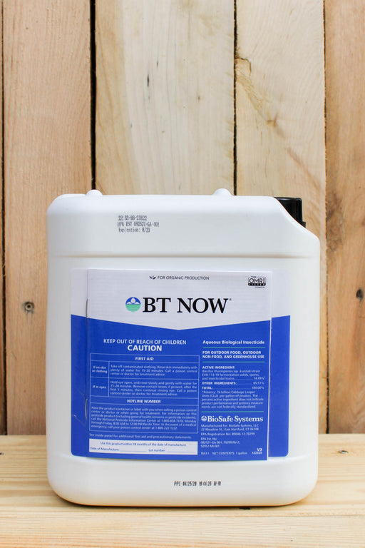 A white plastic jerrycan of BT NOW BioSafe Systems insecticide, featuring a blue and white label, set against a rustic light wood plank background.