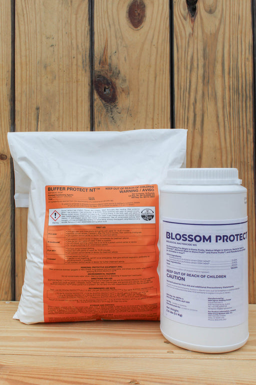 A white bag of Buffer Protect NT and a white plastic tub of Blossom Protect standing side by side on a wooden surface against a wooden plank background.
