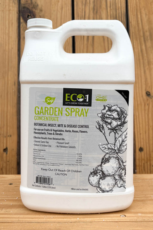 A white plastic jug of Eco-1 Garden Spray Concentrate with a handle, standing on a wooden surface against a wooden background. The label features black and white illustrations of a rose and tomatoes, along with green and black branding.