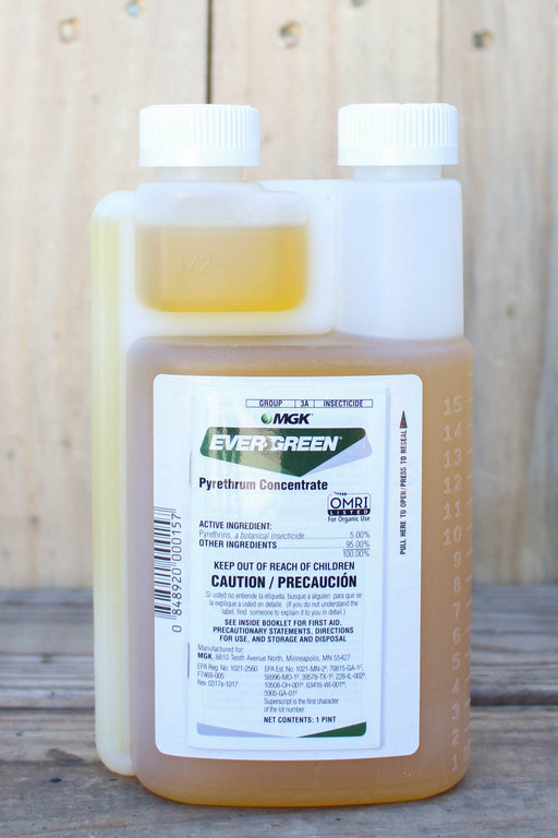 A bottle of MGK EverGreen Pyrethrum Concentrate insecticide, showing the amber liquid and white cap against a rustic wooden background.