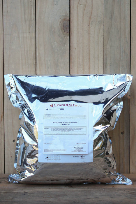A large silver foil bag with a white label reading 'GRANDEVO WDG' sits on a wooden surface against a wooden plank background.