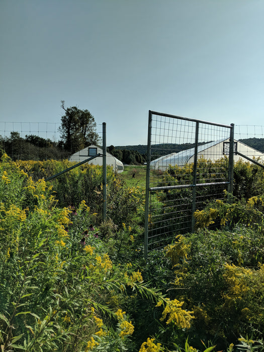 Hands - Selective Weed Control - 1 pair