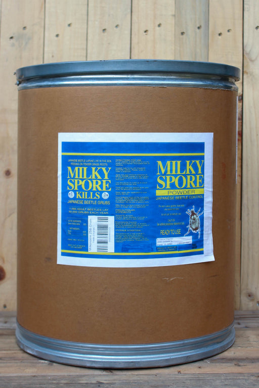 A large brown cardboard drum with a blue metal lid and a blue-and-white label reading 'Milky Spore Powder' photographed against a light wood plank wall and floor.