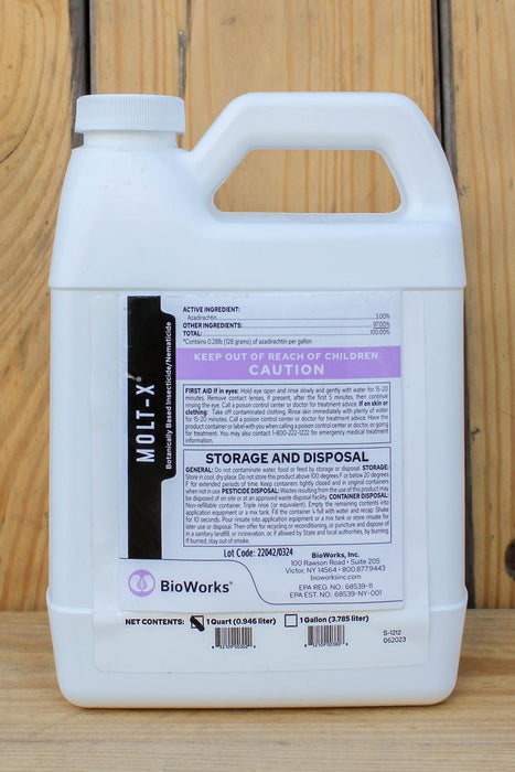 A white plastic jug of BioWorks Molt-X insecticide with a handle, standing on a light wood surface. The front label features black and purple text and sections for storage and disposal.