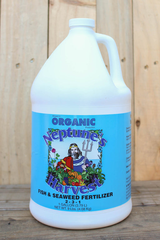 A large white plastic jug of Neptune's Harvests Organic Fish & Seaweed Fertilizer with a bright blue label, set against a rustic wooden plank background.