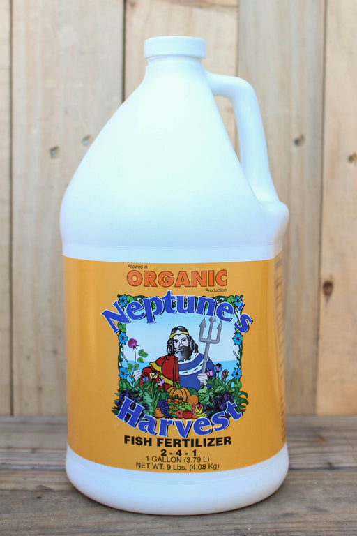A white plastic gallon jug of Neptune's Harvest Organic Fish Fertilizer with a yellow label, set against a rustic wooden plank background.