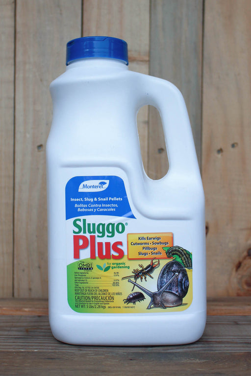 A white plastic bottle of Sluggo Plus insect and snail bait with a blue cap, set against a rustic wooden plank background.