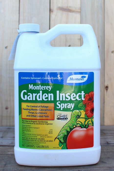 A 1-gallon white plastic jug of Monterey Garden Insect Spray with a blue, green, and yellow label, set against a rustic wooden plank background.