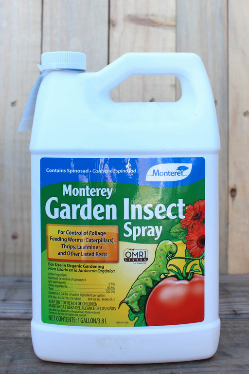 A 1-gallon white plastic jug of Monterey Garden Insect Spray with a blue, green, and yellow label, set against a rustic wooden plank background.