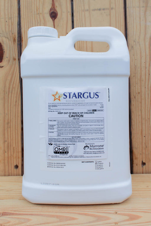 A large white plastic jug of Stargus biofungicide with a handle, standing on a wooden surface against a wooden plank background.