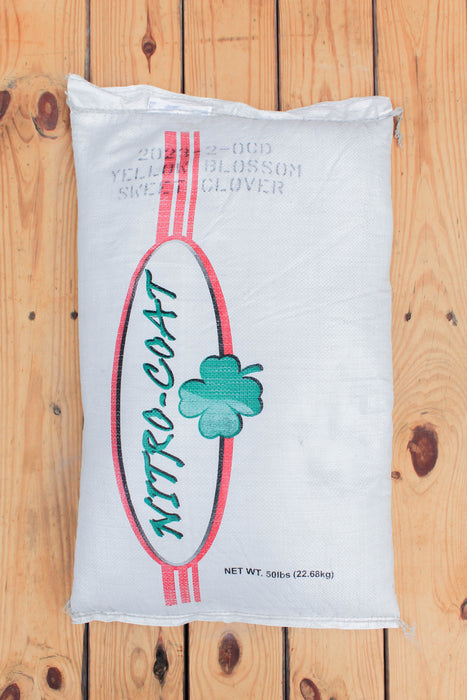 Sweet Yellow Clover - 50 lb