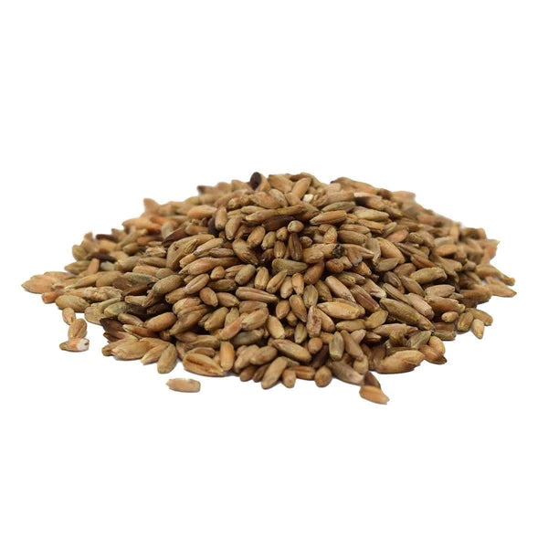 Abruzzi Rye Cover Crop Seed - 50 lb Bag
