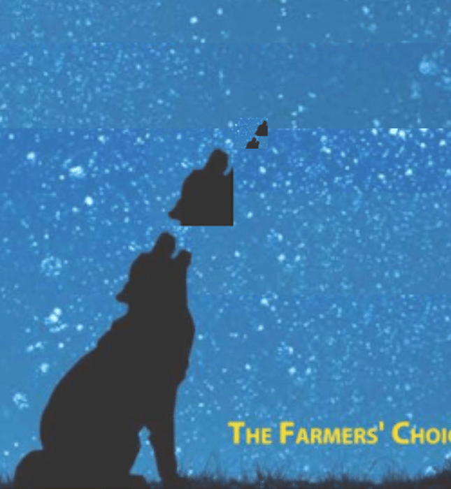 Bobo Sticker - Seven Springs Farm Supply