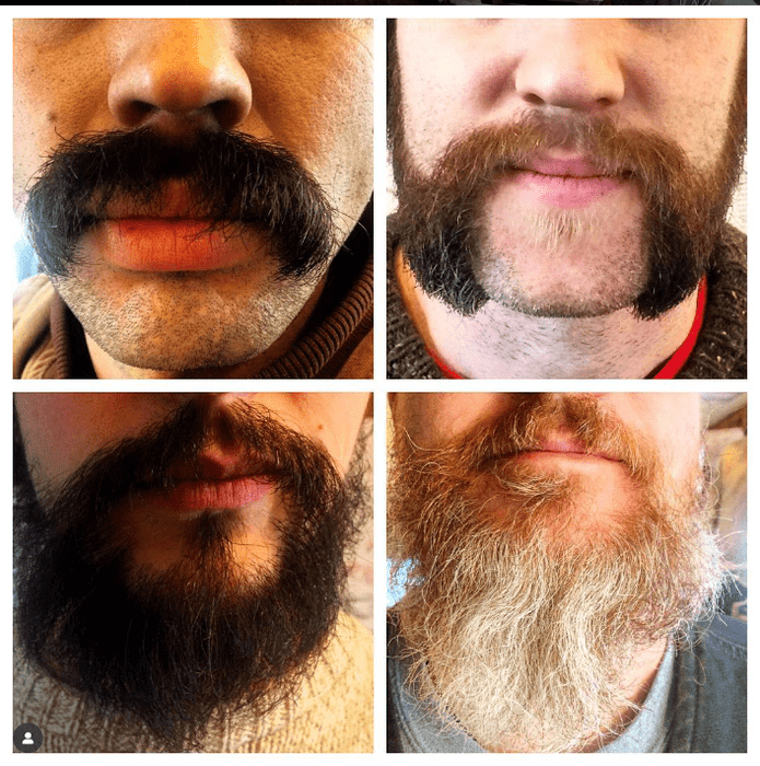 Bobo Sticker - Seven Springs Farm Supply