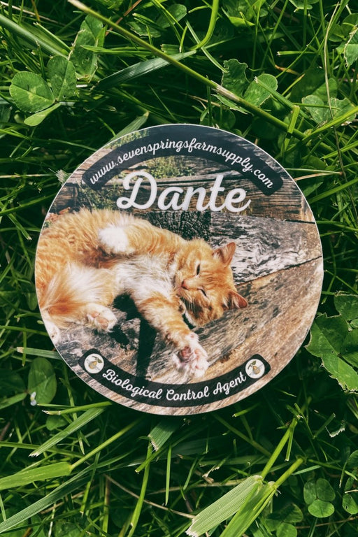 Cats - Biological Control Agents - Seven Springs Farm Supply