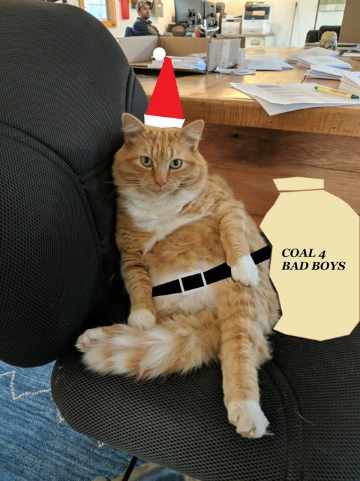 Cats - Biological Control Agents - Seven Springs Farm Supply