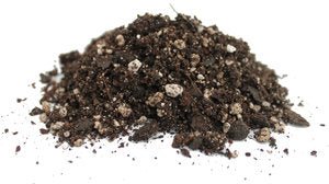 Dirtcraft G - Force - 40 qt Bag - Seven Springs Farm Supply