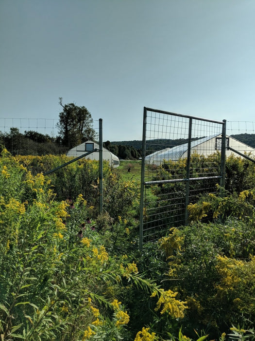 Hands - Selective Weed Control - 1 pair - Seven Springs Farm Supply