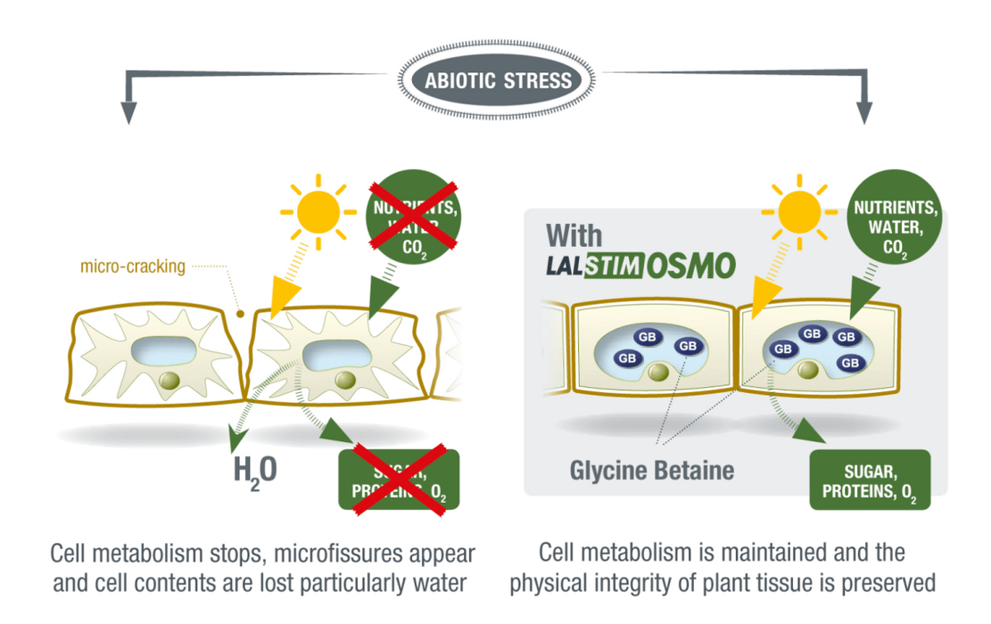 LALSTIM OSMO - 5 lb bag - Seven Springs Farm Supply