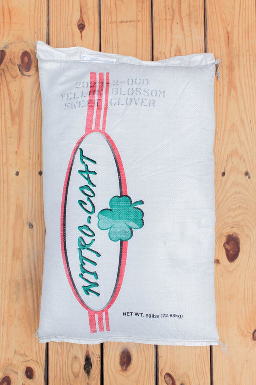 Sweet Yellow Clover - 50 lb - Seven Springs Farm Supply
