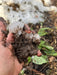 Vermont Compost Company Mud - 2 yd sling - Seven Springs Farm Supply
