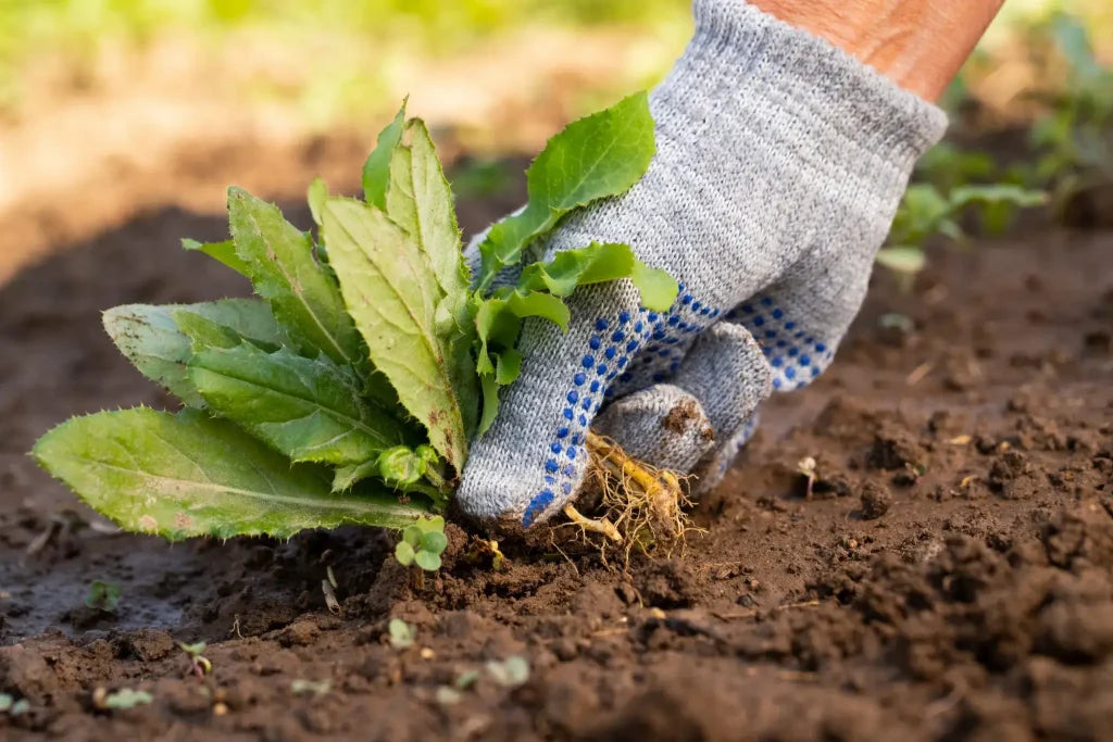 Hands - Selective Weed Control - 1 pair