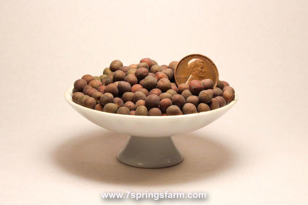 Keystone Winter Peas OG Cover Crop Seed- 50 lb Bag