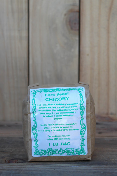 Chicory - Forb Feast - 1 lb Bag