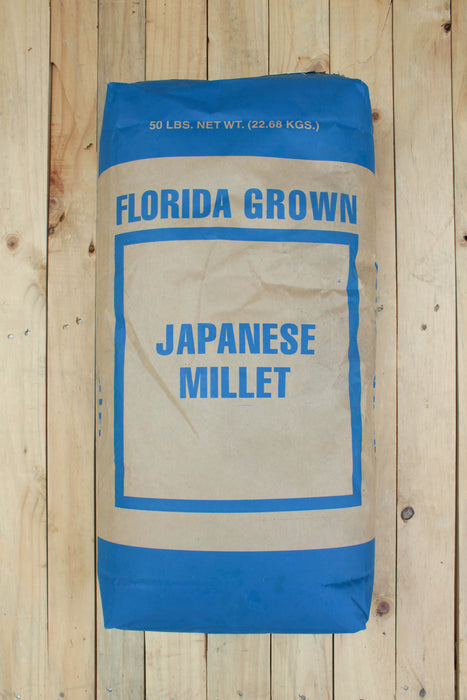 Japanese Millet NON OG Cover Crop Seed - 50 lb Bag