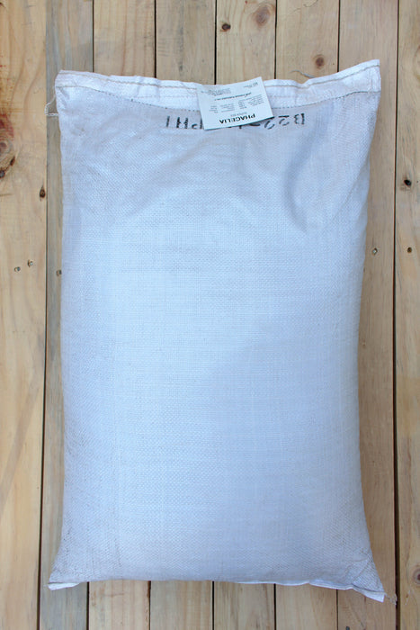 Phacelia Super Bee VNS Cover Crop Seed - 50 lb Bag