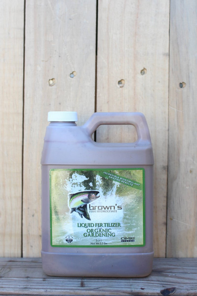 organic liquid fish fertilizer Brown's Fish Fertilizer (2-3-1)