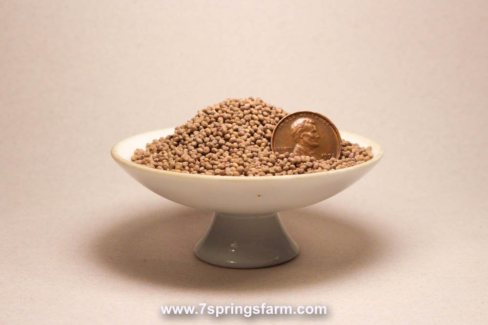 Clover - Medium Red OG Cover Crop Seed - 50 lb Bag - Seven Springs Farm Supply