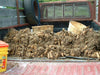 Dahlia Tubers - 1 lb - Seven Springs Farm Supply