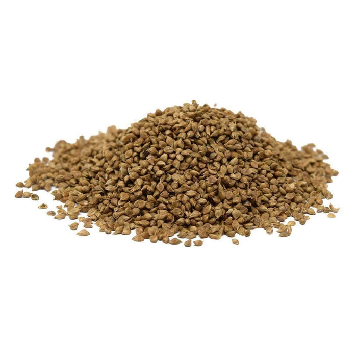 Japanese Millet NON OG Cover Crop Seed - 50 lb Bag
