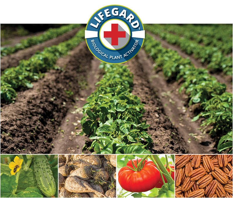 protilizer seed & plant activator LifeGard WG Biological Plant Activator