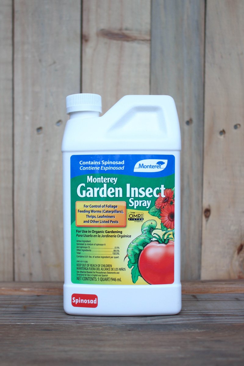 insecticide garden spray Monterey Garden Insect Spray Spinosad 1 Quart