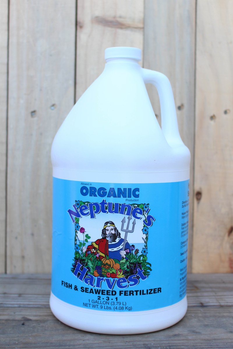 liquid seaweed fertilizer organic Neptune's Harvest Fish Seaweed Blend Fertilizer