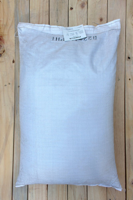 Phacelia Super Bee VNS Cover Crop Seed - 50 lb Bag - Seven Springs Farm Supply